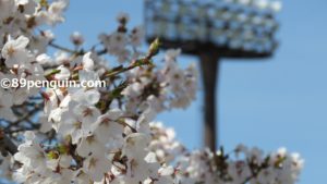 【進路】羽ばたく岩手の球児たち（随時更新）