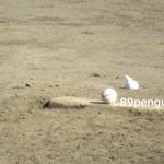 春の陣で活躍が期待される選手たち~第68回春季高校野球岩手県大会