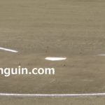 【プロ志望届】青森山田の川原田純平内野手(花巻市出身)がプロ志望届を提出