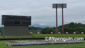 【夏の高校野球】令和2年夏季岩手県高校野球大会