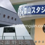 【夏の高校野球】令和2年夏季岩手県高等学校野球大会 7月3日の試合結果