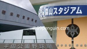 【夏の高校野球】令和２年夏季岩手県高等学校野球大会 ７月３日の試合結果