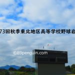 【第73回秋季東北地区高等学校野球岩手県大会】一関学院、盛岡大附が切符 準決勝の試合結果