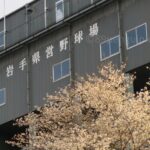 【春季大会】盛岡大附や盛岡三ら４校代表切符　4月29日の試合結果