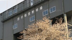 【春季大会】盛岡大附や盛岡三ら４校代表切符　4月29日の試合結果