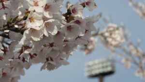 【進路】高校野球に挑む球児たち(随時更新)