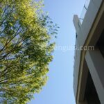 第68回春季高校野球岩手県大会　初戦から好カード続出