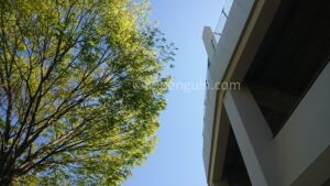 第68回春季高校野球岩手県大会 初戦から好カード続出