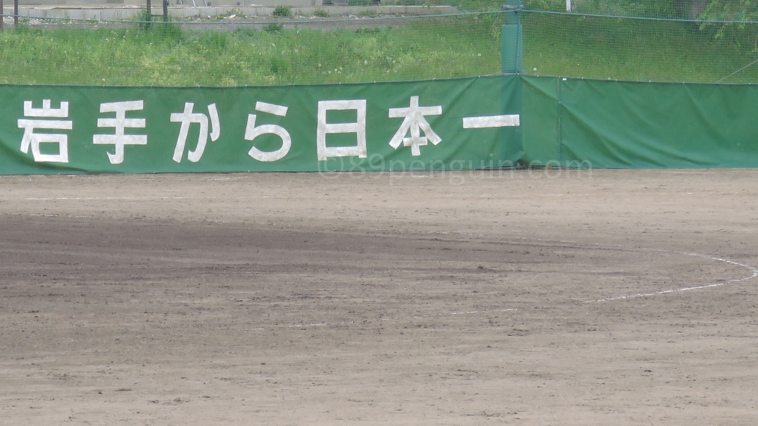 【高校女子野球】花巻東、初公式戦で初勝利　ベスト16出そろう