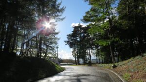 【秋季大会】北奥では水沢工と専大北上、県北では久慈が代表決定戦進出　水沢一と黒沢尻北はタイブレークの熱戦　岩手 - 高校野球