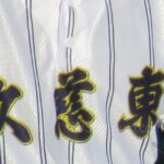 センバツ21世紀枠の地区候補校9校決定　東北は只見が選出