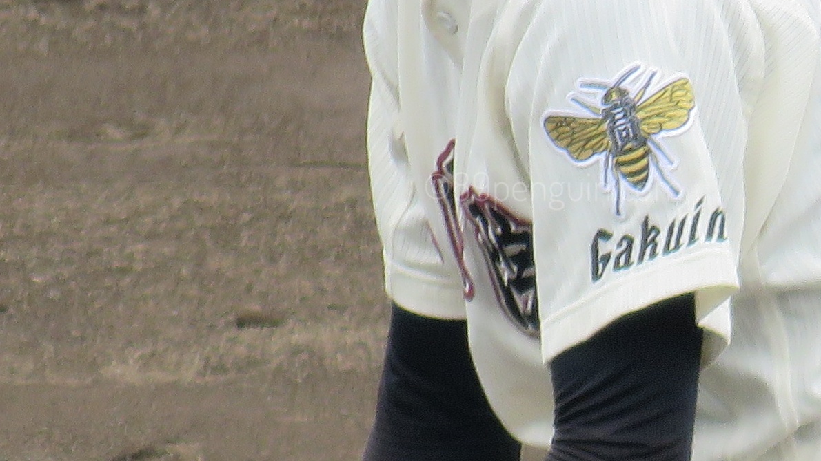 【夏の甲子園】一関学院の左肩には"蜂"の校章　勝利へ向けて汗を流す働き蜂　岩手 - 高校野球