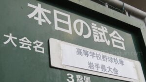 【秋季大会】盛岡工と盛岡誠桜、花巻南が県大会進出 気仙・宮古連合は代表決定戦へ 岩手 - 高校野球