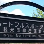 【春季大会】全地区予選が閉幕 昨秋県準優勝の久慈は強打で第1代表に 岩手 - 高校野球
