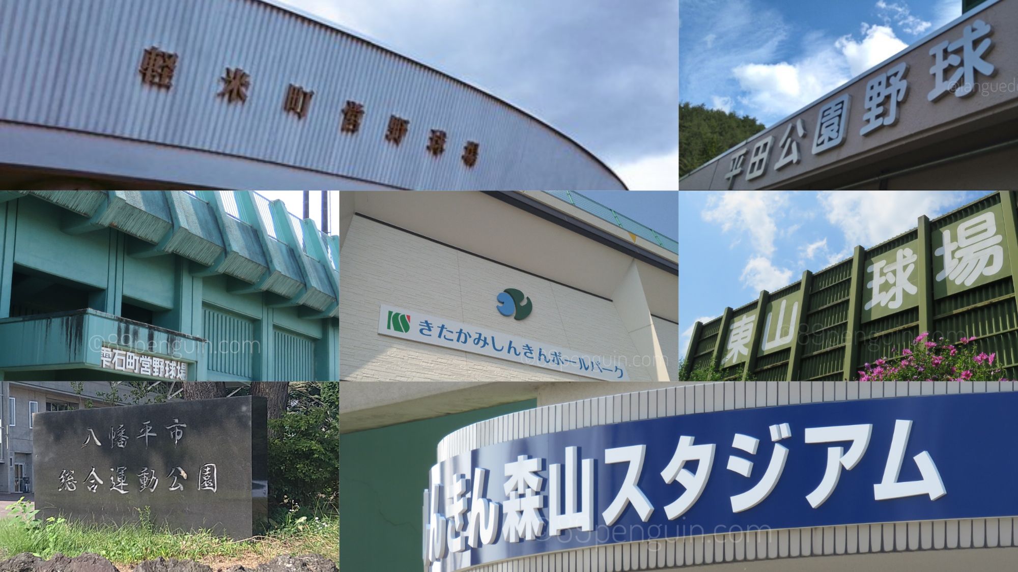 【春季大会】一関学院と水沢工が県大会切符 盛岡中央・盛岡一・盛岡北が初戦突破 岩手 - 高校野球