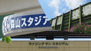 【春季大会】春の舞台で輝く選手たち　県大会の注目選手　岩手 - 高校野球