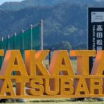 盛岡三と盛岡商、専大北上と水沢工の試合を観戦　岩手 - 高校野球