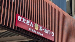 花巻東と水沢商、一関学院と花巻北の試合を観戦　岩手 - 高校野球
