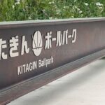 高田と盛岡誠桜、福岡と大船渡の試合を観戦　岩手 - 高校野球