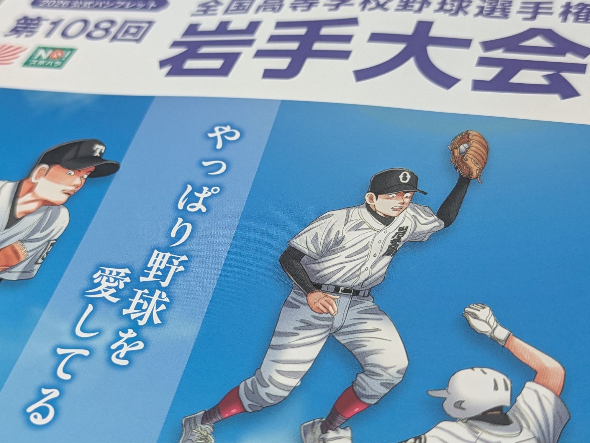 【選手権岩手大会】盛岡三が盛岡中央に昨秋の雪辱　盛岡農と千厩は劇的サヨナラ　岩手 - 高校野球