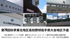 【秋季大会】福岡と北桜が激しい点の取り合い　水沢と一関学院はそれぞれ代表決定戦進出　岩手 - 高校野球