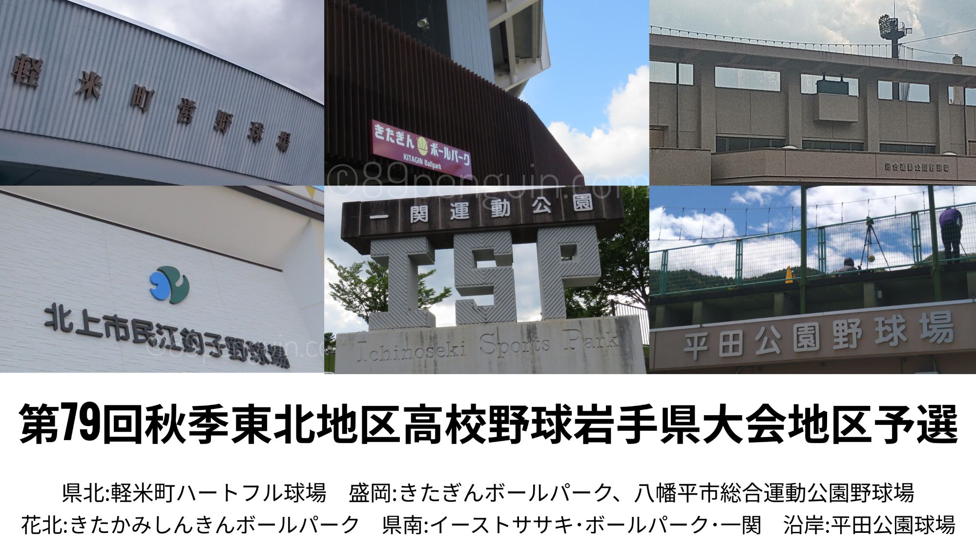【秋季大会】福岡と北桜が激しい点の取り合い 水沢と一関学院はそれぞれ代表決定戦進出 岩手 - 高校野球