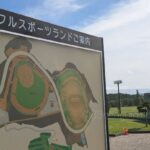 【秋季大会】久慈が2年ぶり秋県北王者に　専大北上と花巻南は県大会出場　岩手 - 高校野球