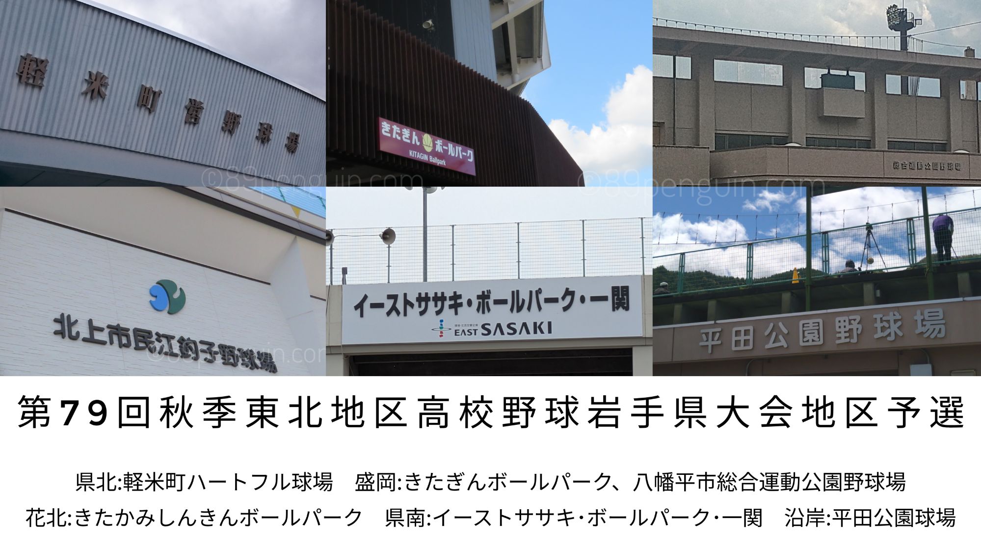 【秋季大会】水沢工が今夏の雪辱で代表切符 一関一は伝統校対決を制して県大会進出 継続試合は盛岡大附が勝ちきる 水沢 - 高校野球