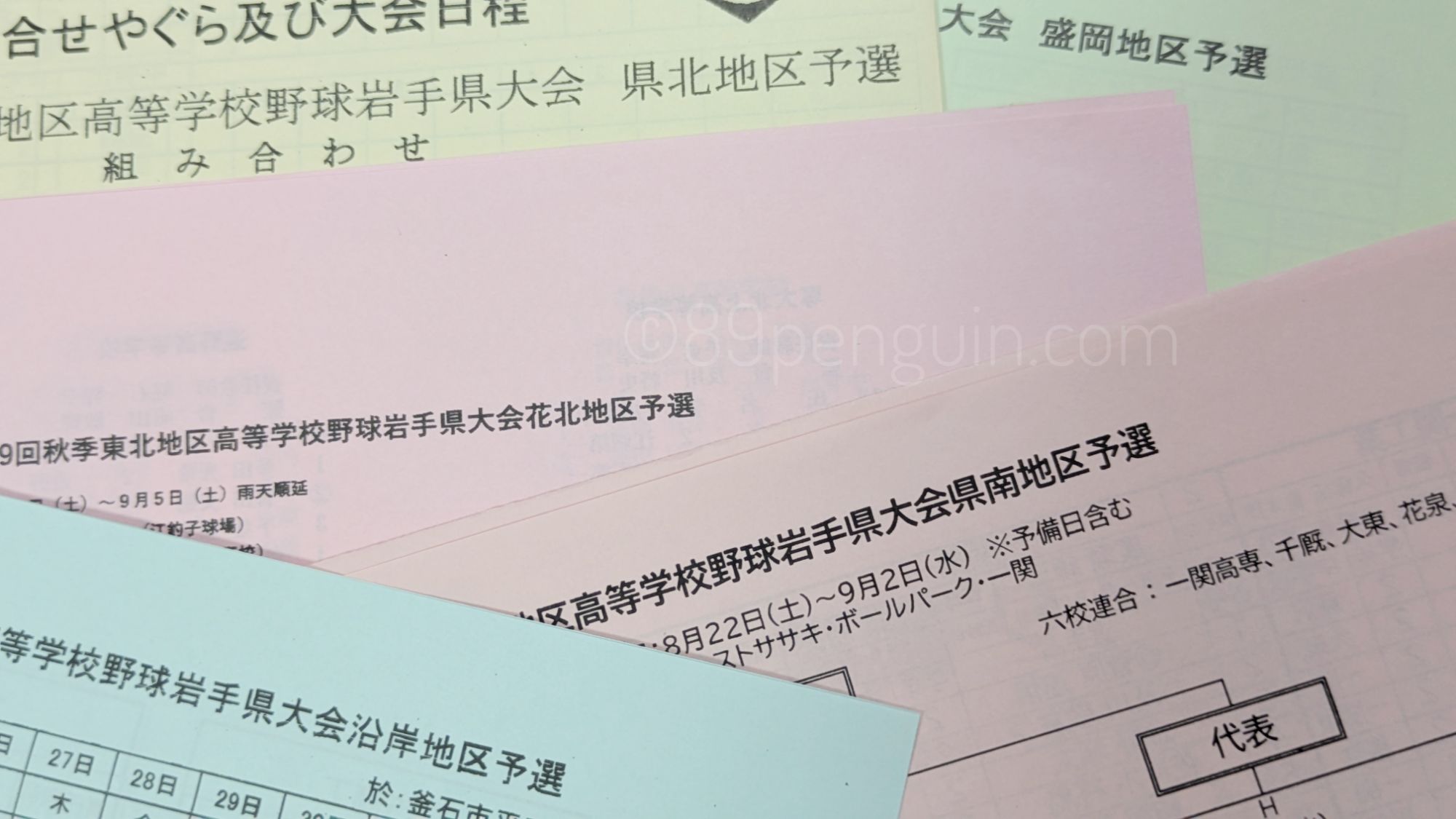 【秋季大会】いよいよ県大会が開幕へ！活躍が楽しみな注目選手たち　岩手 - 高校野球